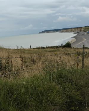 Balade à Saint-Aubin-sur-Mer - Saint-Aubin-sur-Mer - 2