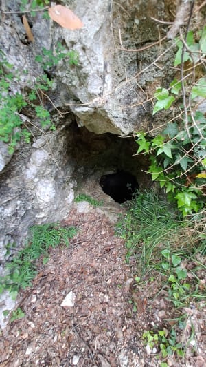 Via Aurelia et fraîcheur de la Cagne - La Gaude - 9