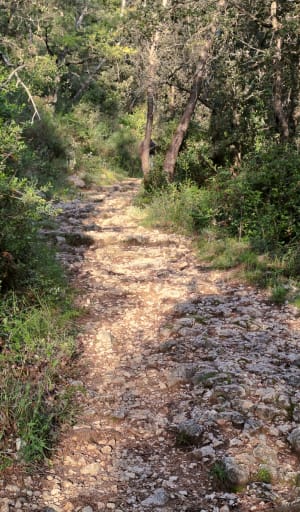 Via Aurelia et fraîcheur de la Cagne - La Gaude - 11