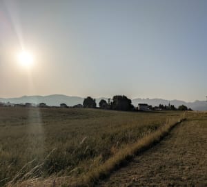 Autour de Chatuzange le Goubet - Lydie - 3