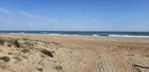 Entre mer et terre à Vendres - Vendres - 18
