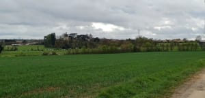 Petit tour par la Mothe Orson - Moutiers-sur-le-Lay - 4