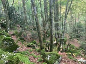 Randonnée à l'Etang du Garbet - Aulus-les-Bains - 28