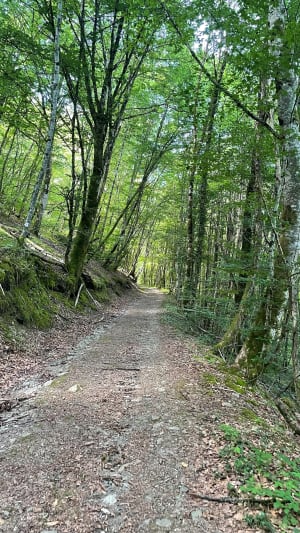 Zig et zags à pied au-dessus du Lot - Estaing - 5
