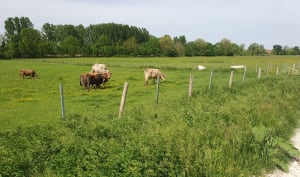 Vertrek vanuit Plaimpied voor een wandeling langs het kanaal - Plaimpied - 4