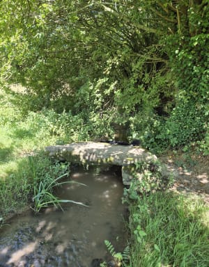 De Buicourt à Gerberoy en forêt - Gerberoy - 10