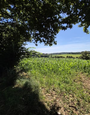 De Buicourt à Gerberoy en forêt - Gerberoy - 11