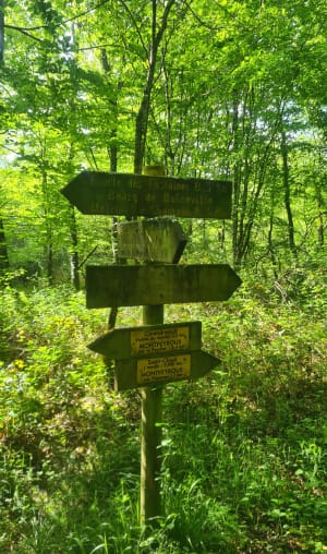 Au pays de Montaigne et des forêts libres - Montpeyroux - 4
