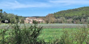 Circuit autour de Lorgues - Lorgues - 9