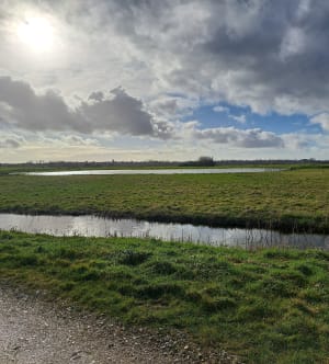 Balade dans les marais de Saint-Martin-de-Varreville - Annick - 4