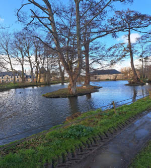 Balade dans les marais de Saint-Martin-de-Varreville - Annick - 5