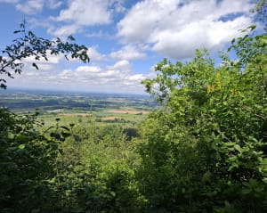 Mont Myon, Chapelle puis château de Montfort - Val-Revermont - 2