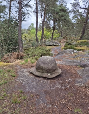 Bestorming van de Franchard Gorges en vreemde rotsen - Fontainebleau - 13