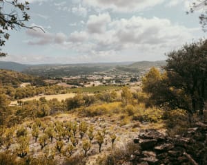 Sentier des Capitelles à Félines - Félines-Minervois - 3
