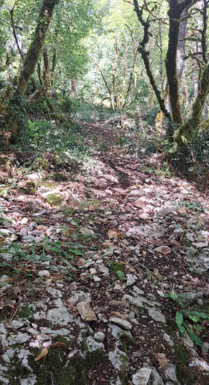 Pérégrinations en huit à Saint-Cirq-Lapopie - Saint-Cirq-Lapopie - 2