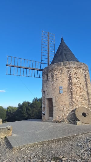 Forêt de Fontvieille - Fontvieille - 10