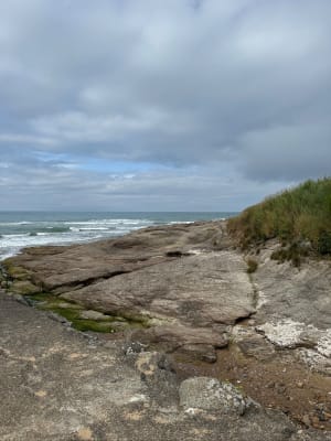 La corniche par la pinède coté Bretignolles - Bretignolles-sur-Mer - 5
