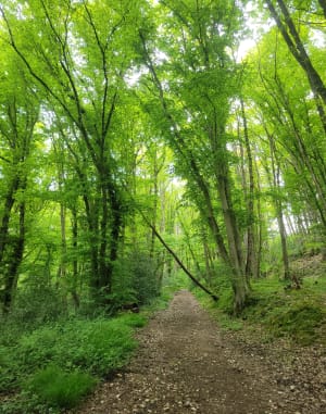 Boucle au départ de Chevreuse - Chevreuse - 5