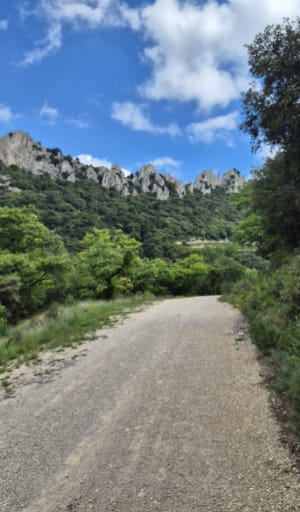 Belle balade dans les Dentelles de Montmirail - Beaumes-de-Venise - 23