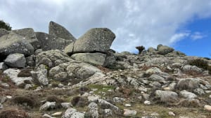 Ascension du Monte San Petru et panoramas corses - Petreto-Bicchisano - 45