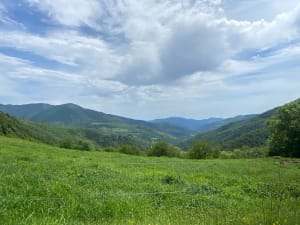 Boucle de la Réserve Naturelle à Prats-de-Mollo-la-Preste - Deborah - 15