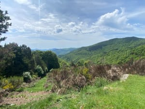 Boucle de la Réserve Naturelle à Prats-de-Mollo-la-Preste - Deborah - 16