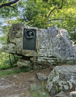 Exploration en forêt de Fontainebleau et nombreux trésors - Fontainebleau - 13