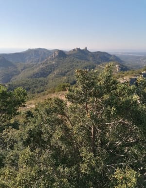 Mimet : sacré bol d'air à la tête du Grand Puech - Mimet - 9