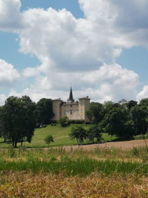 Villaudric : châteaux, vignobles et claires fontaines - Villaudric - 2