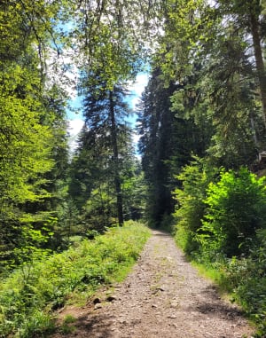 Rando du lac de Longemer au lac Listach - Xonrupt-Longemer - 56