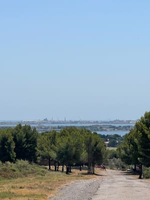 Les hauteurs de Bouzigues - Bouzigues - 3