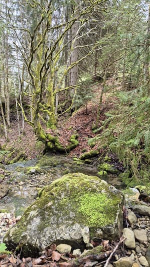La Motte en Bauges - Saint-François-de-Sales - 11