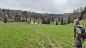 La Motte en Bauges - Saint-François-de-Sales - 12