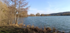 Balade au bord de l'eau à Bouvaincourt sur Bresle - Bouvaincourt-sur-Bresle - 12