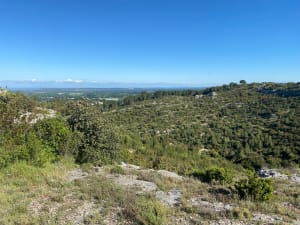 Sint-Jacobsheuvel - Cavaillon - 16