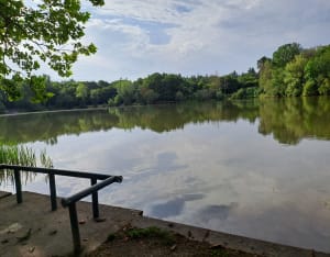 Tour de forêt et du Lac de la Pinçonnière - Blois - 10