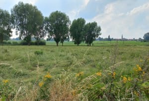 De Neuville en Ferrain à Halluin par la campagne - Neuville-en-Ferrain - 12