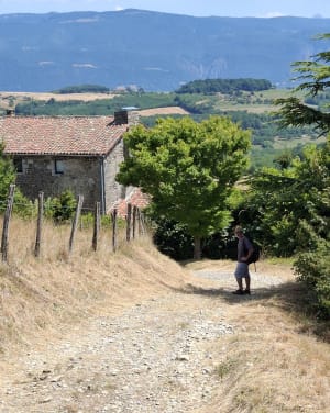 Randonnée vercorienne depuis Bessins - Bessins - 6