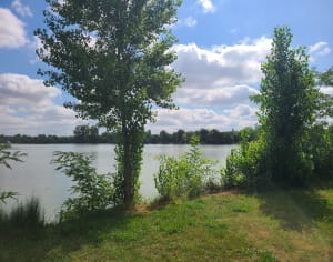 Berges de la Save et tout du lac de Samatan à pied - Sophie - 3