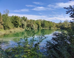 Balade au Marais de l'Etournel - Pougny - 2