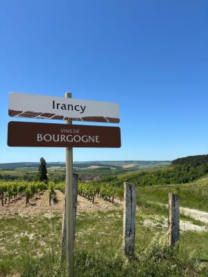 Découvrir le village, les vignes et le vin d'Irancy - Lou-Anne - 7