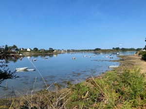 Ontsnap naar Belz en wandel over het mysterieuze eiland Saint-Cado - Belz - 8