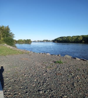 Sortie en vélo de route en bord de Loire et de vigne - Brissac Loire Aubance - 2