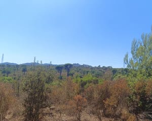 Petite reprise trail dans le canton de Palayson - Roquebrune-sur-Argens - 11