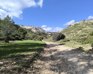 Sénas, vallon d'Auphant et Alpilles en majesté - Audrey - 4