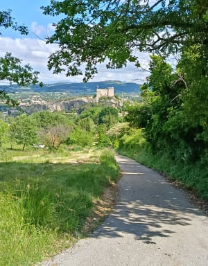Vaison-la-Romaine et aventure sur des collines verdoyantes - Vaison-la-Romaine - 10