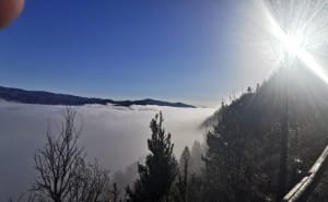 Sur le Causse Mejean au dessus de Florac - Florac-Trois-Rivières - 19