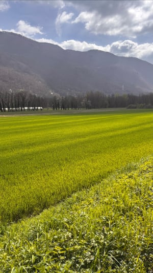 Randonnée entre Grenoble et Vizille - Eybens - 5