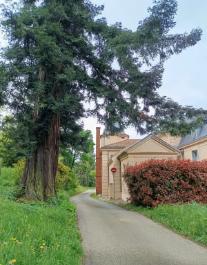 Couvent Sainte-Marie de la Tourette et bain de nature - L'Arbresle - 6