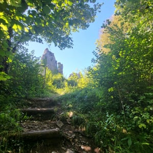 Balade près du Pont de Pyle - La Tour-du-Meix - 54